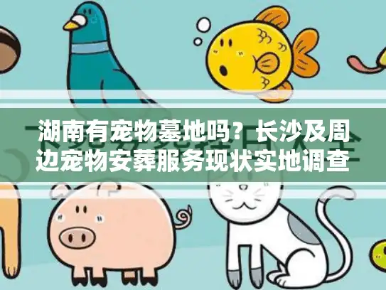 湖南有宠物墓地吗？长沙及周边宠物安葬服务现状实地调查