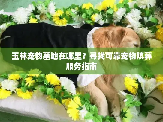 玉林宠物墓地在哪里？寻找可靠宠物殡葬服务指南