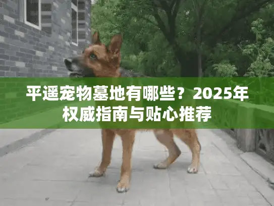 平遥宠物墓地有哪些？2025年权威指南与贴心推荐