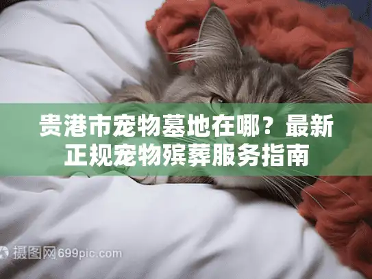 贵港市宠物墓地在哪？最新正规宠物殡葬服务指南