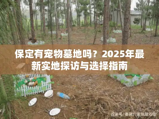 保定有宠物墓地吗？2025年最新实地探访与选择指南