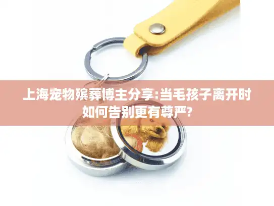 上海宠物殡葬博主分享:当毛孩子离开时如何告别更有尊严?