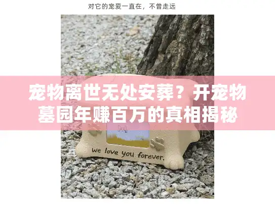 宠物离世无处安葬？开宠物墓园年赚百万的真相揭秘
