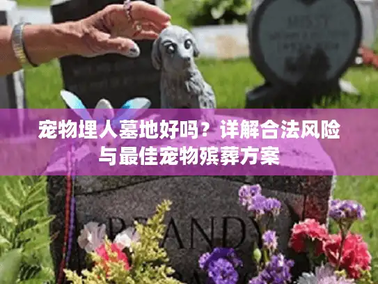 宠物埋人墓地好吗？详解合法风险与最佳宠物殡葬方案