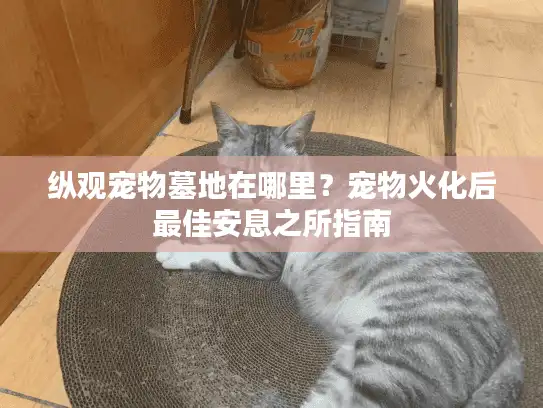 纵观宠物墓地在哪里？宠物火化后最佳安息之所指南
