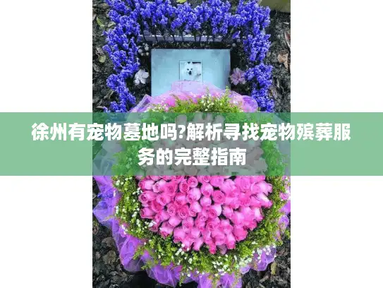 徐州有宠物墓地吗?解析寻找宠物殡葬服务的完整指南