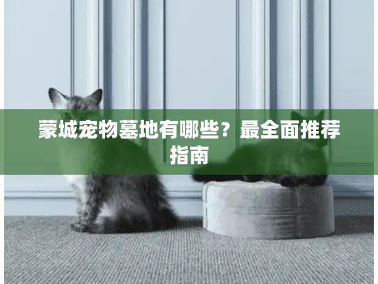 蒙城宠物墓地有哪些？最全面推荐指南