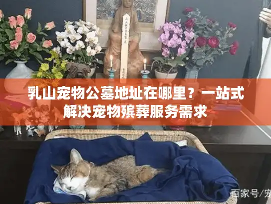 乳山宠物公墓地址在哪里？一站式解决宠物殡葬服务需求