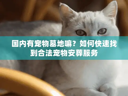 国内有宠物墓地嘛？如何快速找到合法宠物安葬服务
