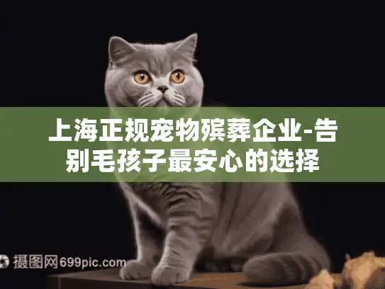 上海正规宠物殡葬企业-告别毛孩子最安心的选择