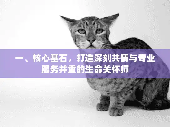 一、核心基石，打造深刻共情与专业服务并重的生命关怀师