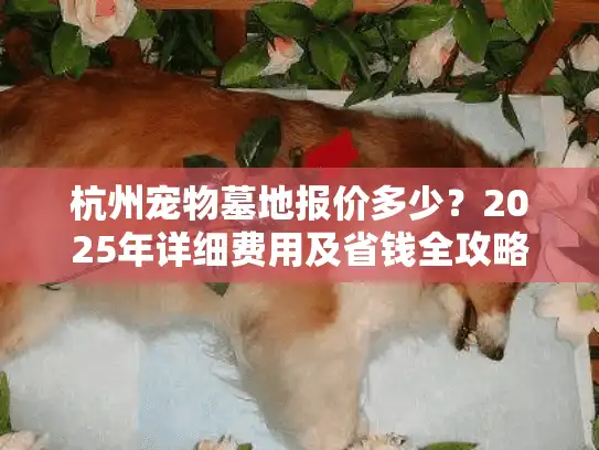 杭州宠物墓地报价多少？2025年详细费用及省钱全攻略