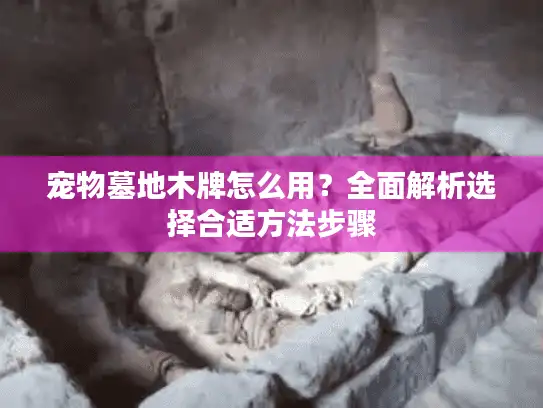 宠物墓地木牌怎么用？全面解析选择合适方法步骤