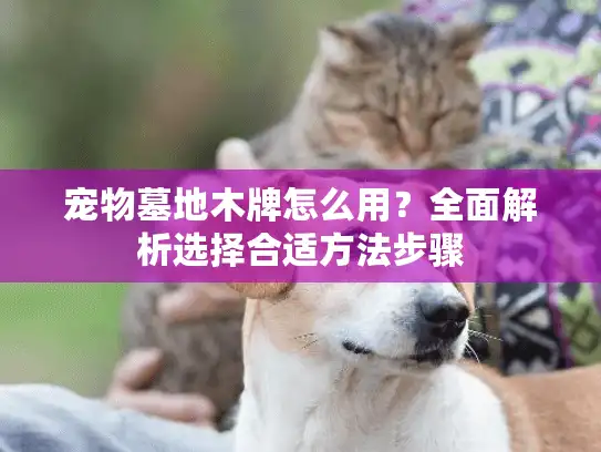 宠物墓地木牌怎么用？全面解析选择合适方法步骤