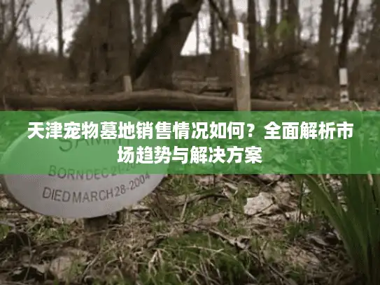 天津宠物墓地销售情况如何？全面解析市场趋势与解决方案
