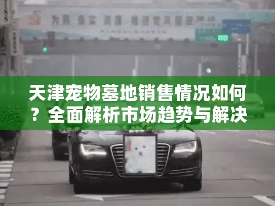 天津宠物墓地销售情况如何？全面解析市场趋势与解决方案