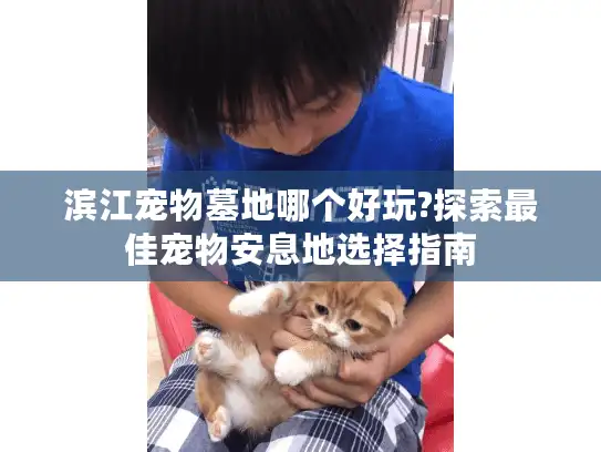 滨江宠物墓地哪个好玩?探索最佳宠物安息地选择指南