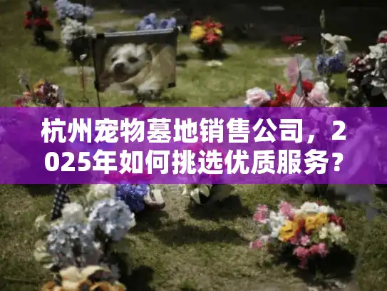 杭州宠物墓地销售公司，2025年如何挑选优质服务？