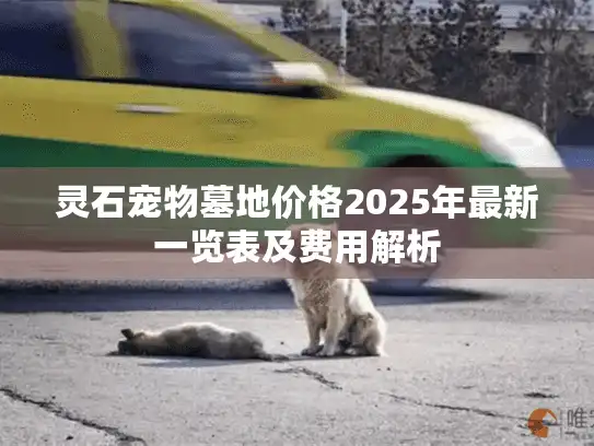 灵石宠物墓地价格2025年最新一览表及费用解析