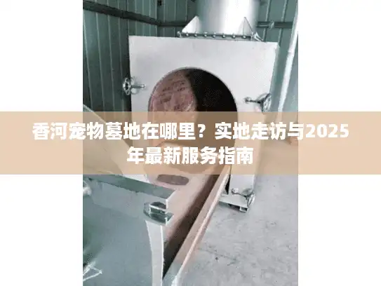 香河宠物墓地在哪里？实地走访与2025年最新服务指南