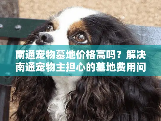 南通宠物墓地价格高吗？解决南通宠物主担心的墓地费用问题