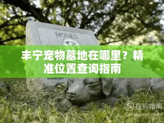 丰宁宠物墓地在哪里？精准位置查询指南