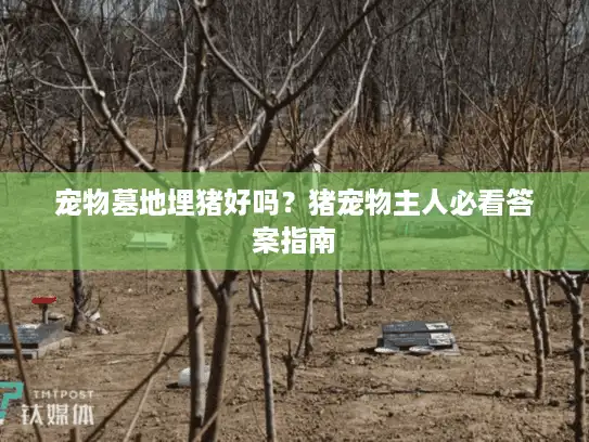 宠物墓地埋猪好吗？猪宠物主人必看答案指南