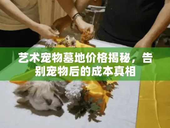 艺术宠物墓地价格揭秘，告别宠物后的成本真相
