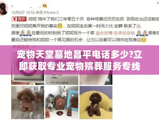 宠物天堂墓地昌平电话多少?立即获取专业宠物殡葬服务专线
