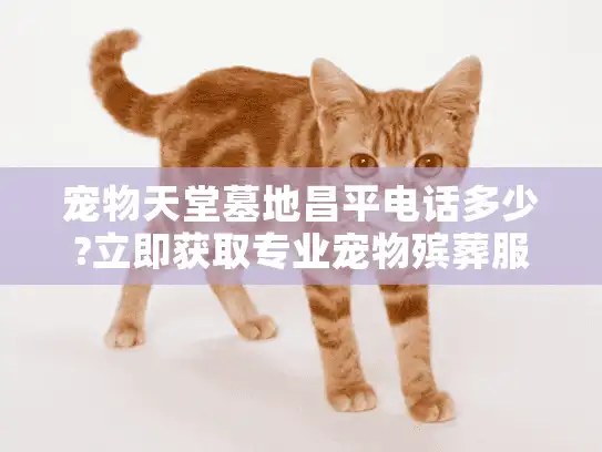 宠物天堂墓地昌平电话多少?立即获取专业宠物殡葬服务专线