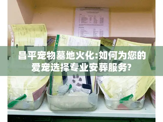 昌平宠物墓地火化:如何为您的爱宠选择专业安葬服务?