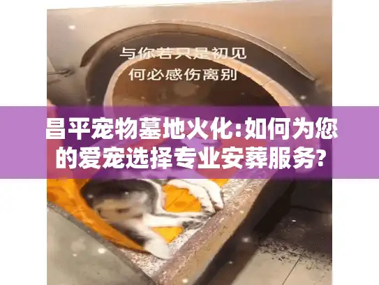 昌平宠物墓地火化:如何为您的爱宠选择专业安葬服务?