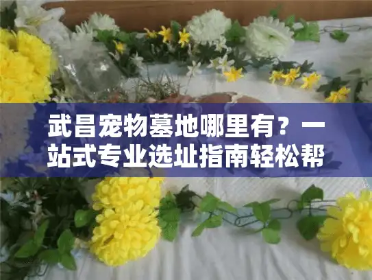 武昌宠物墓地哪里有？一站式专业选址指南轻松帮您
