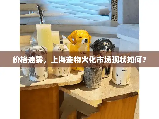 价格迷雾，上海宠物火化市场现状如何？