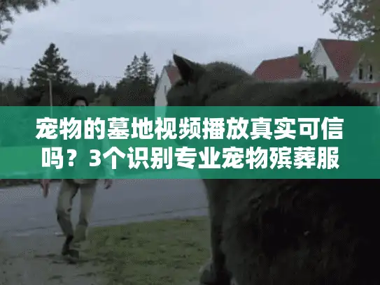 宠物的墓地视频播放真实可信吗？3个识别专业宠物殡葬服务的关键点