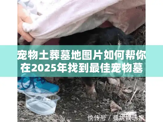 宠物土葬墓地图片如何帮你在2025年找到最佳宠物墓地?