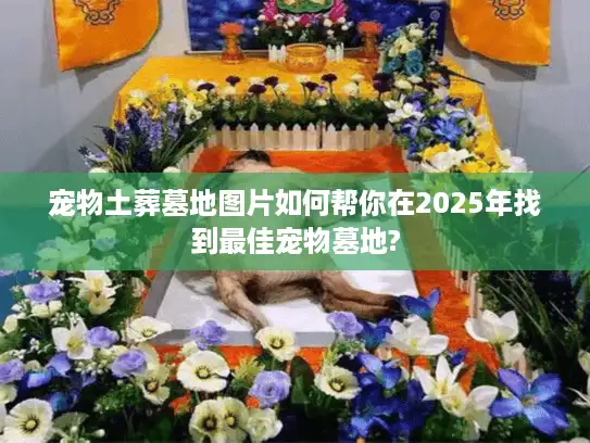 宠物土葬墓地图片如何帮你在2025年找到最佳宠物墓地?