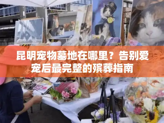 昆明宠物墓地在哪里？告别爱宠后最完整的殡葬指南
