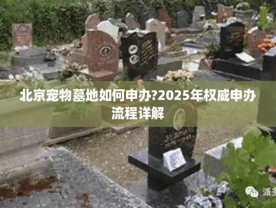 北京宠物墓地如何申办?2025年权威申办流程详解