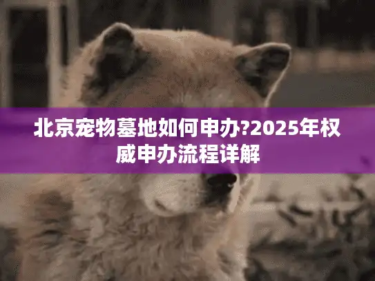 北京宠物墓地如何申办?2025年权威申办流程详解