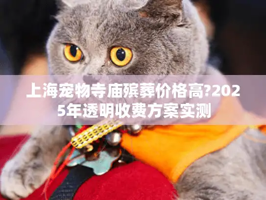上海宠物寺庙殡葬价格高?2025年透明收费方案实测