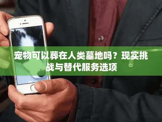 宠物可以葬在人类墓地吗？现实挑战与替代服务选项