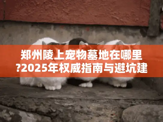 郑州陵上宠物墓地在哪里?2025年权威指南与避坑建议