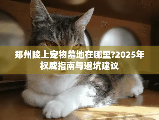 郑州陵上宠物墓地在哪里?2025年权威指南与避坑建议