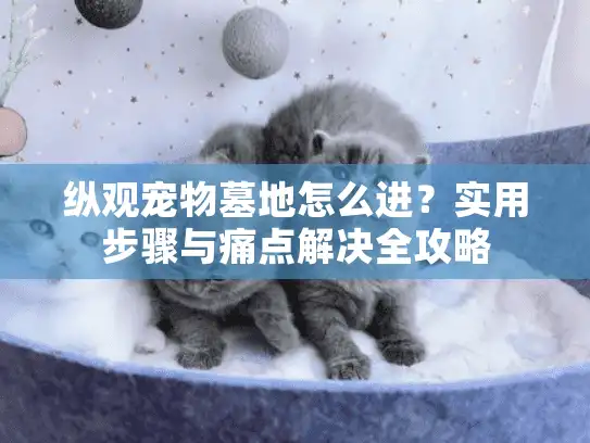 纵观宠物墓地怎么进？实用步骤与痛点解决全攻略