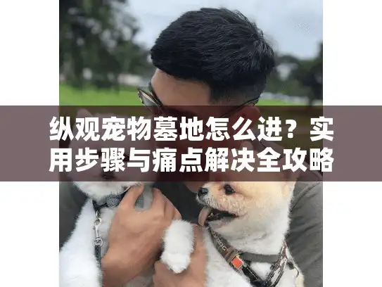 纵观宠物墓地怎么进？实用步骤与痛点解决全攻略