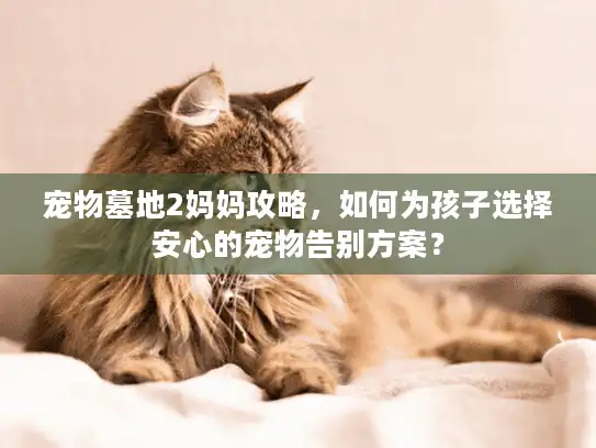 宠物墓地2妈妈攻略，如何为孩子选择安心的宠物告别方案？
