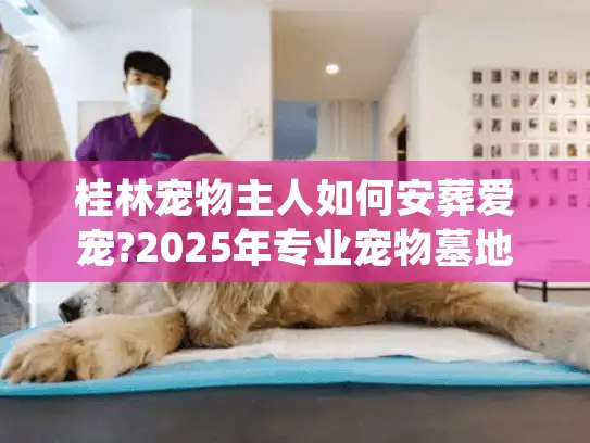 桂林宠物主人如何安葬爱宠?2025年专业宠物墓地服务实地探访