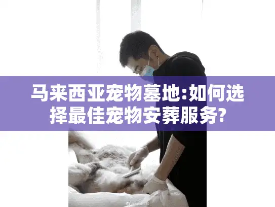 马来西亚宠物墓地:如何选择最佳宠物安葬服务?