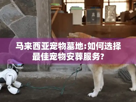 马来西亚宠物墓地:如何选择最佳宠物安葬服务?